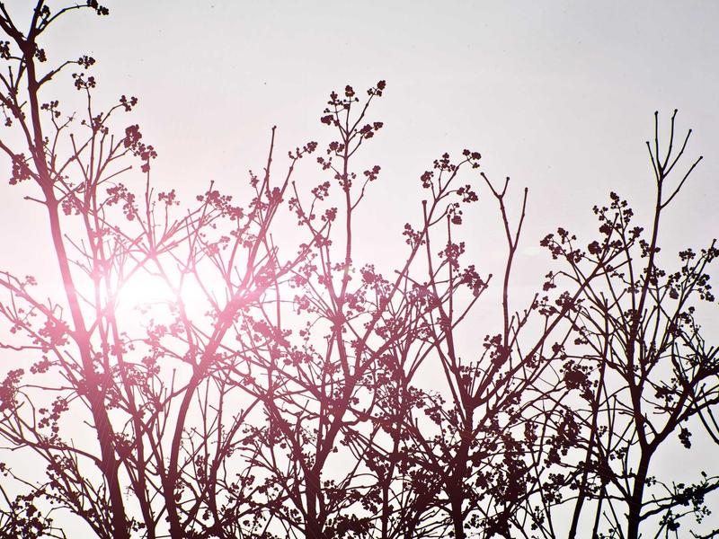 sudoku lifetime access