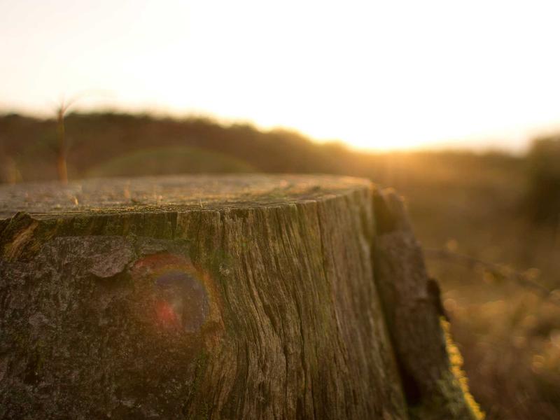 sudoku lifetime access screenshot 1